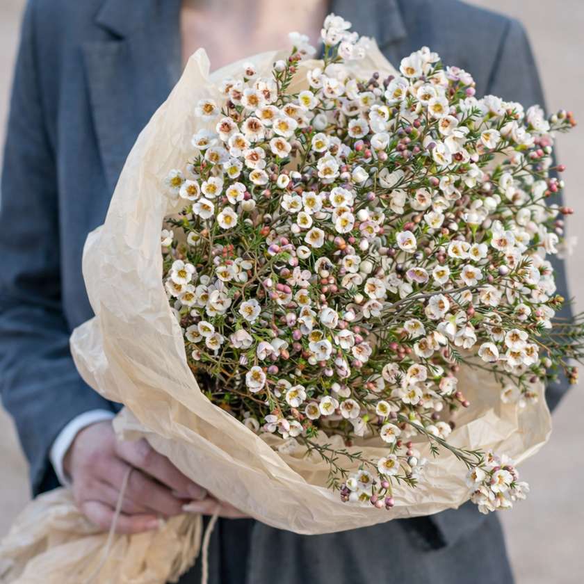 Waxflower Bouquet