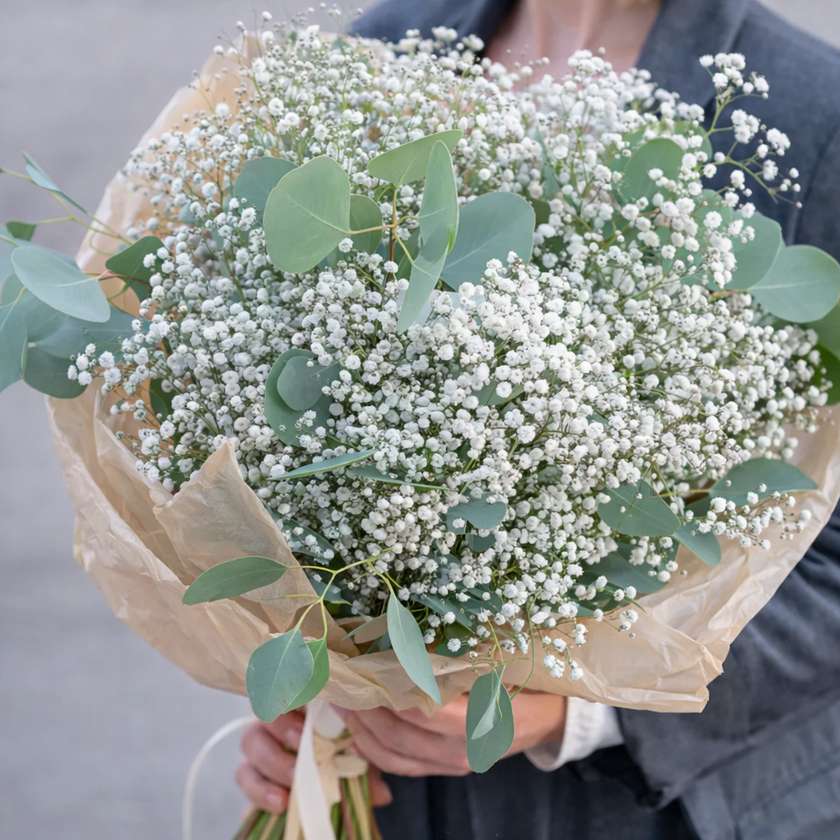 Gypsophila Bouquet