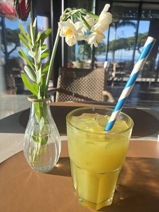 Limonada de Hortelã