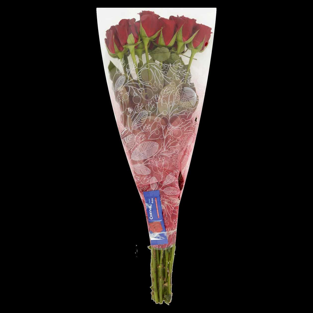 Tesco Kytice růže 50 cm 11 ks