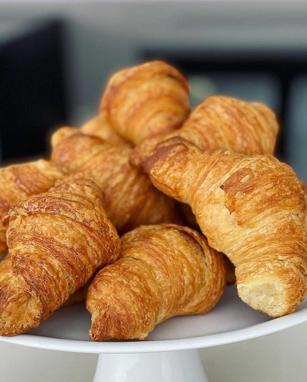 Brioche Plain