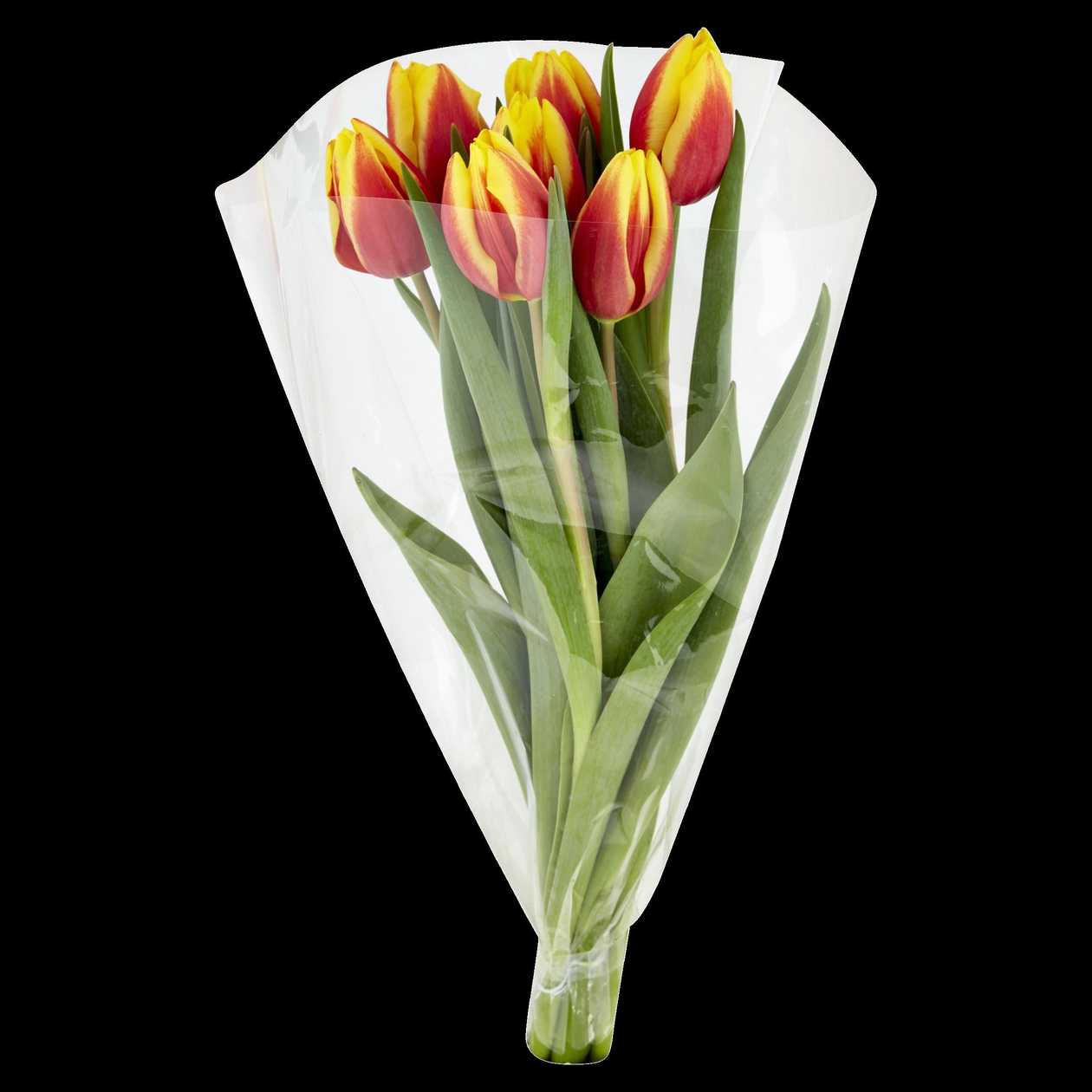 Tesco Kytice tulipány 7 ks