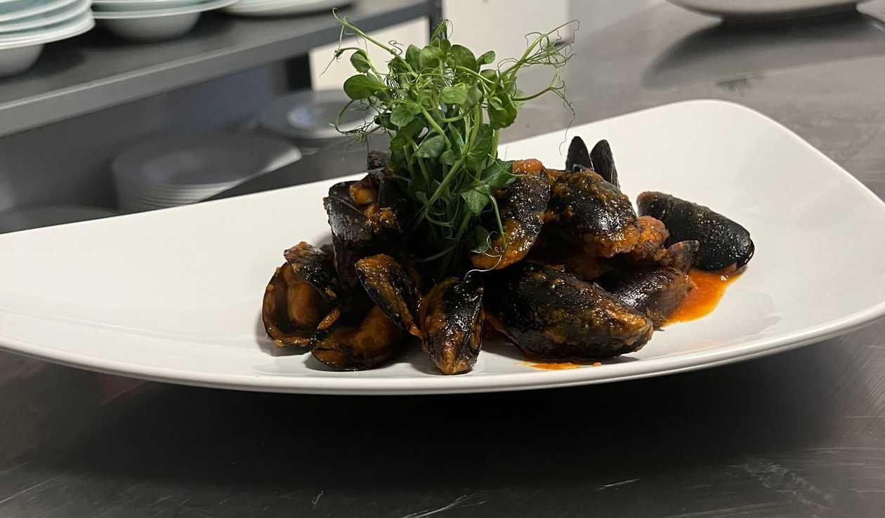 SCOICI IN SOS ITALIAN