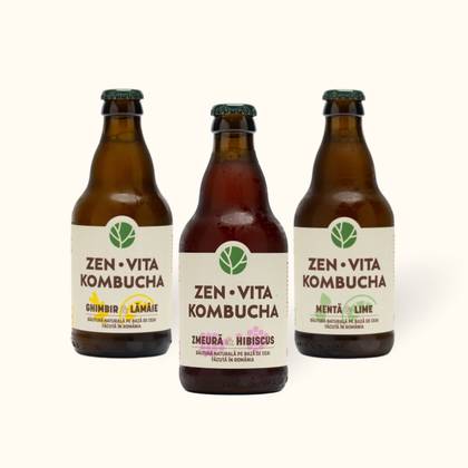 Kombucha 330ml