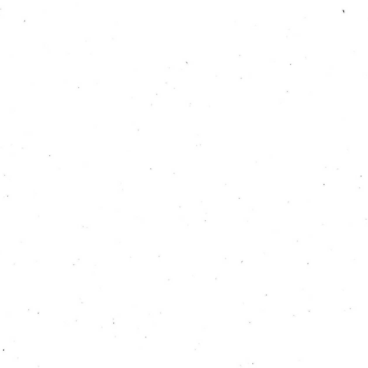 Pizza Quatro stagioni Amestecata 25 cm - D