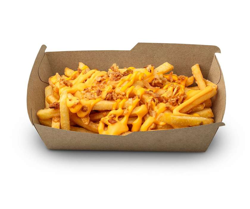 Cheddar and onion fries