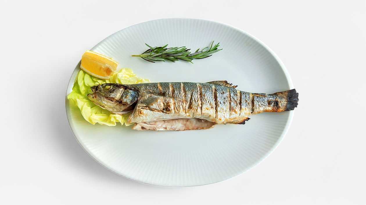 Grilled Trout