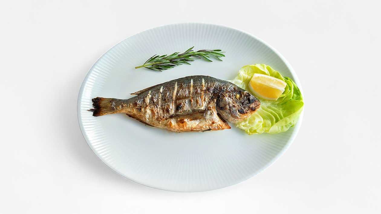 Grilled dorada