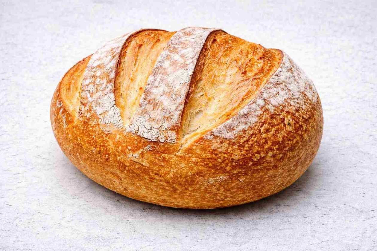 Paine Alba Campaillette