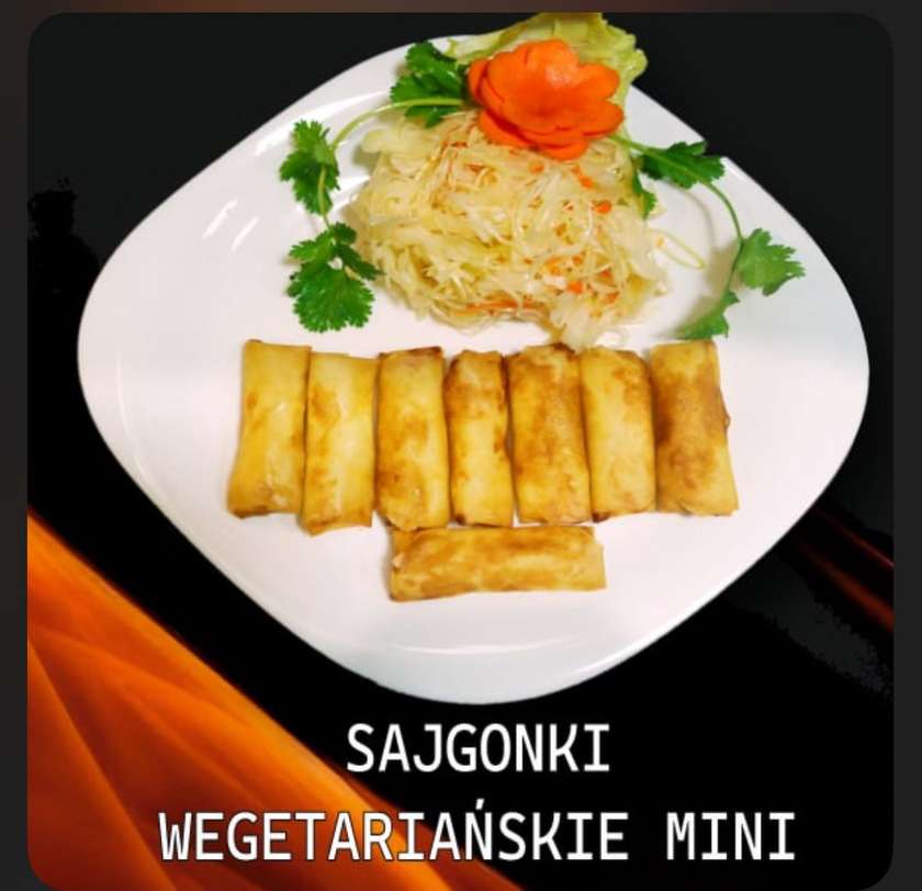 Copy of Vegetarian Spring Rolls with Raw Salad