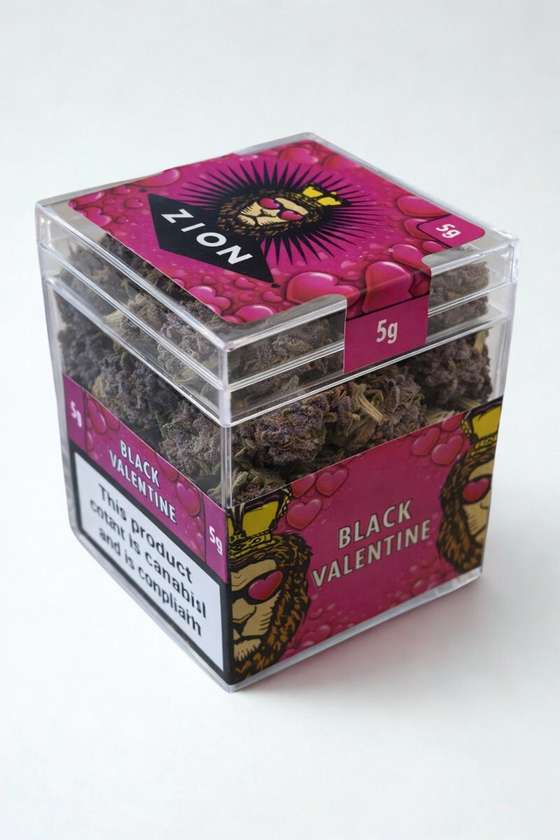 ZION - Limited Edition Valentine’s Flower Cube (5g) - Black Valentine