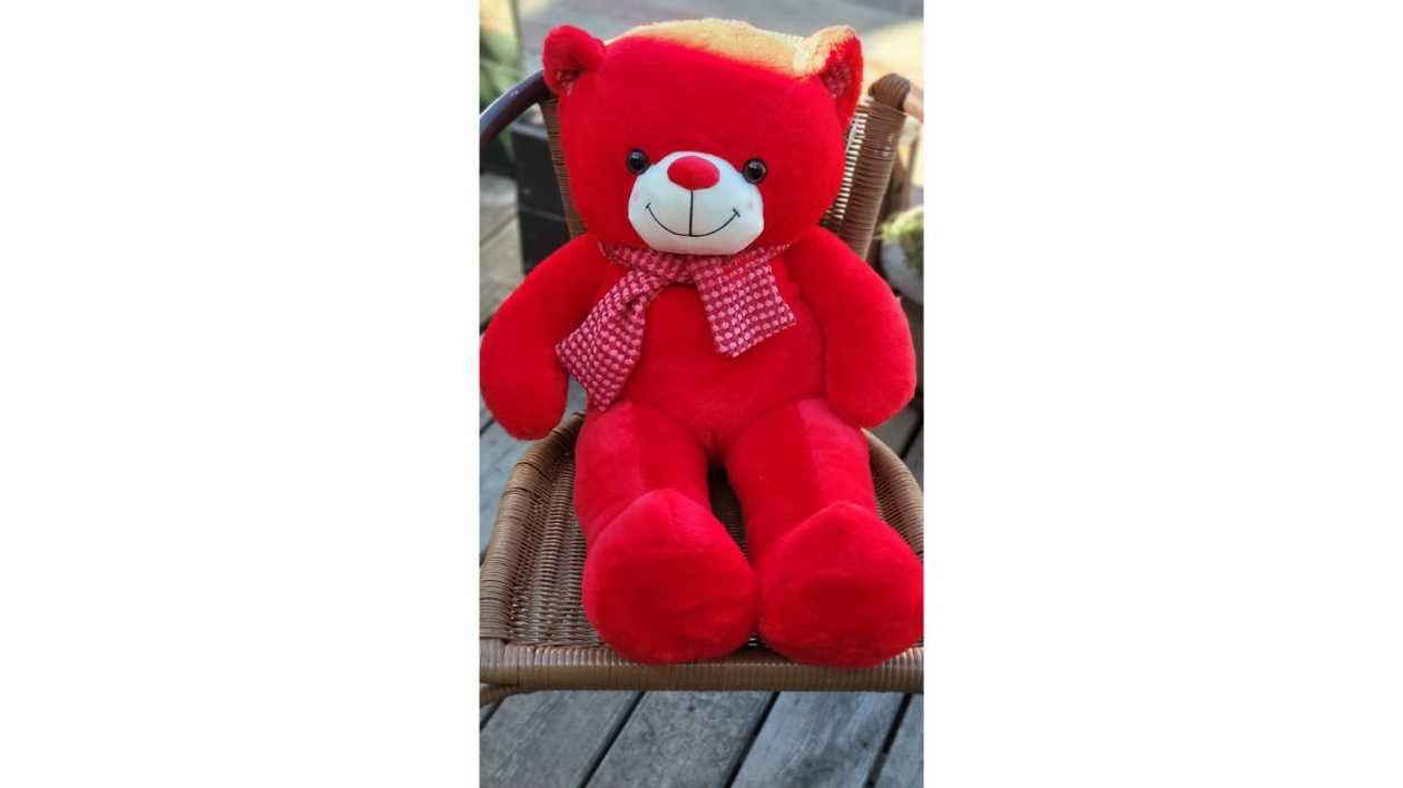 Teddy Bear XXL size
