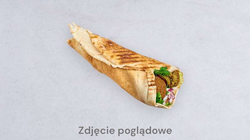 Vegetarian Pita With Fries