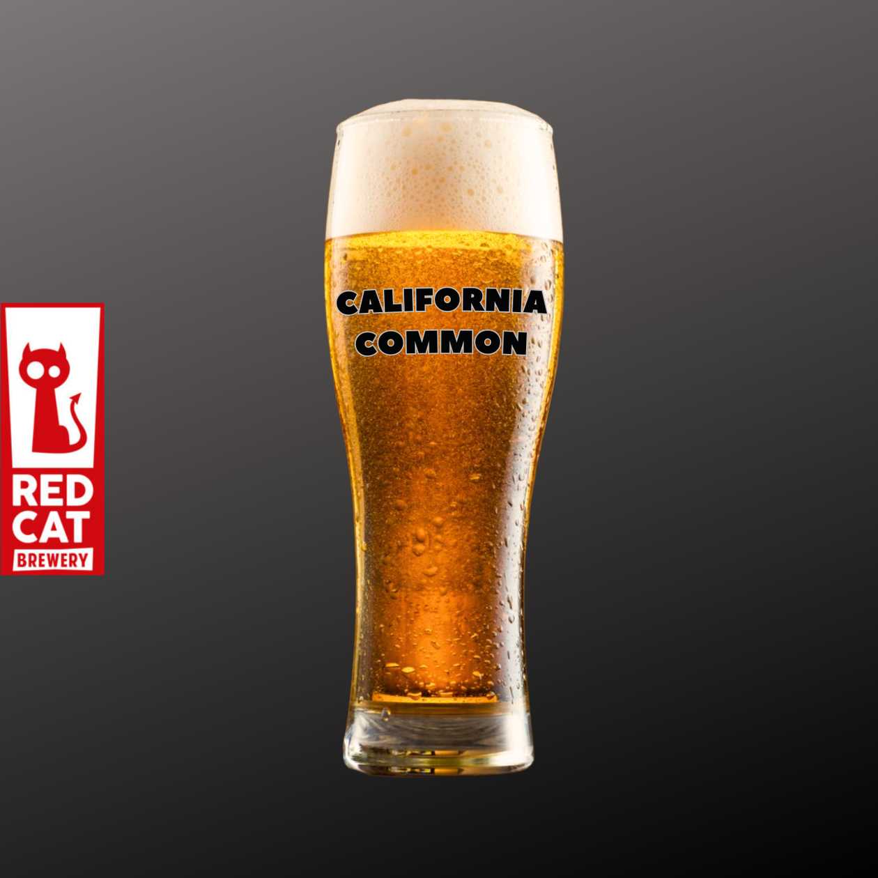 Пиво California common (Red Cat)