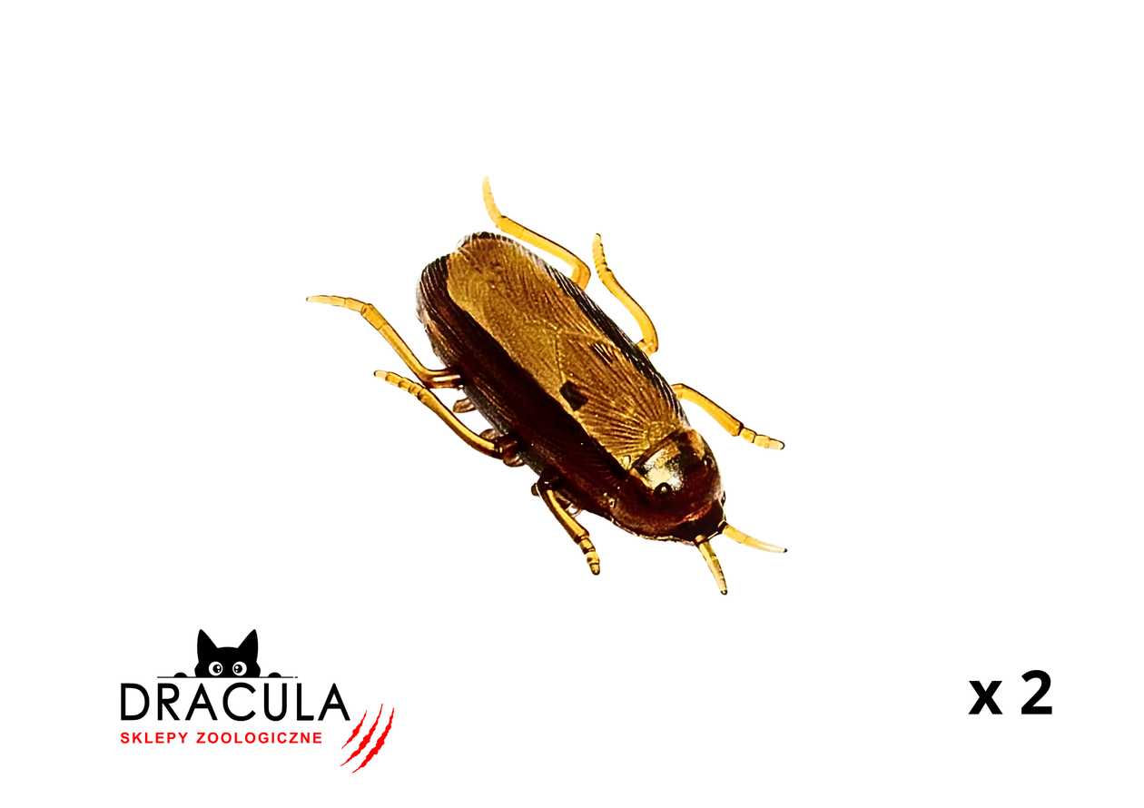 Vibrating Cat Toy - Battery Operated - Two Pack!