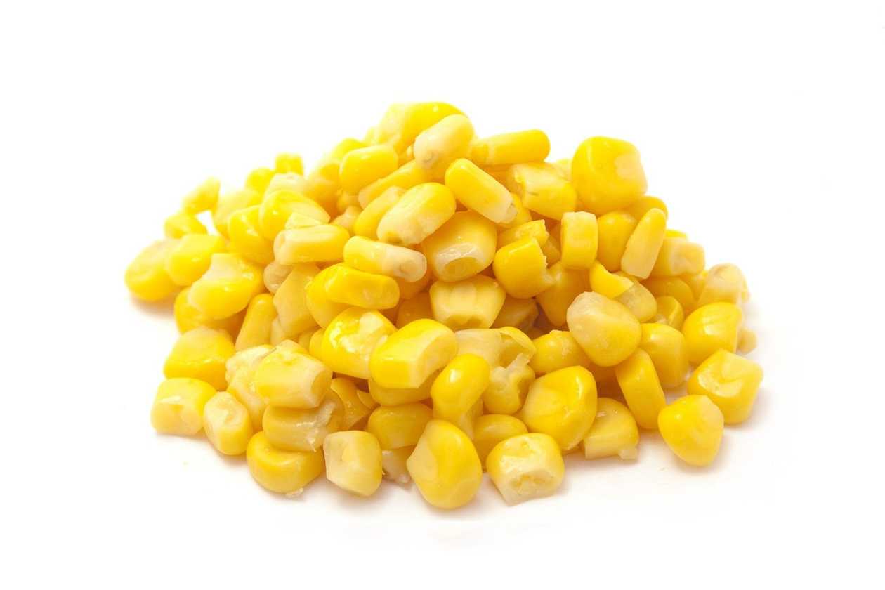 Porumb
