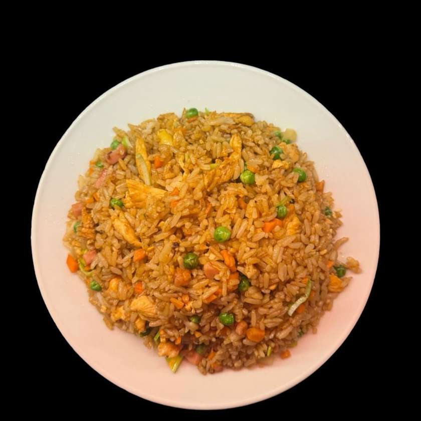 Special Rice with Chicken