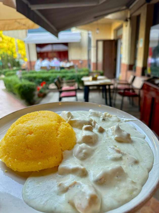 PIEPT DE PUI CU SMANTANA SI CIUPERCI (250g)