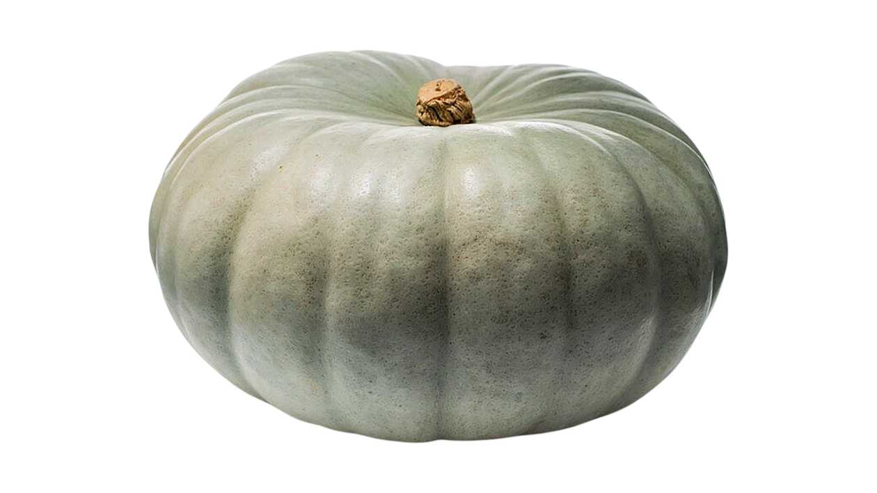 Pumpkin "Gray" 3.9-4.0 Kg