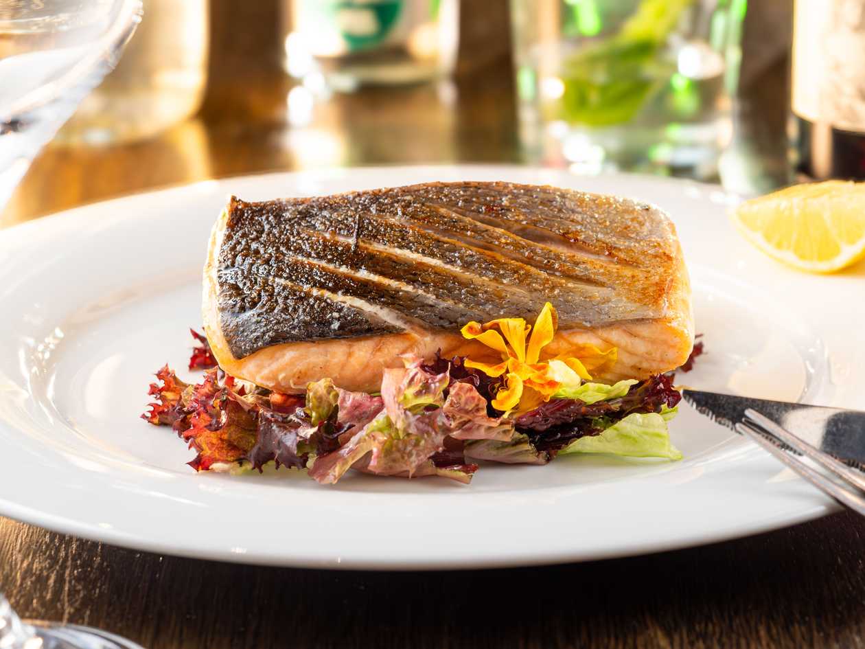 Grilled salmon steak