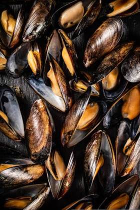 Mussels 20 Pieces