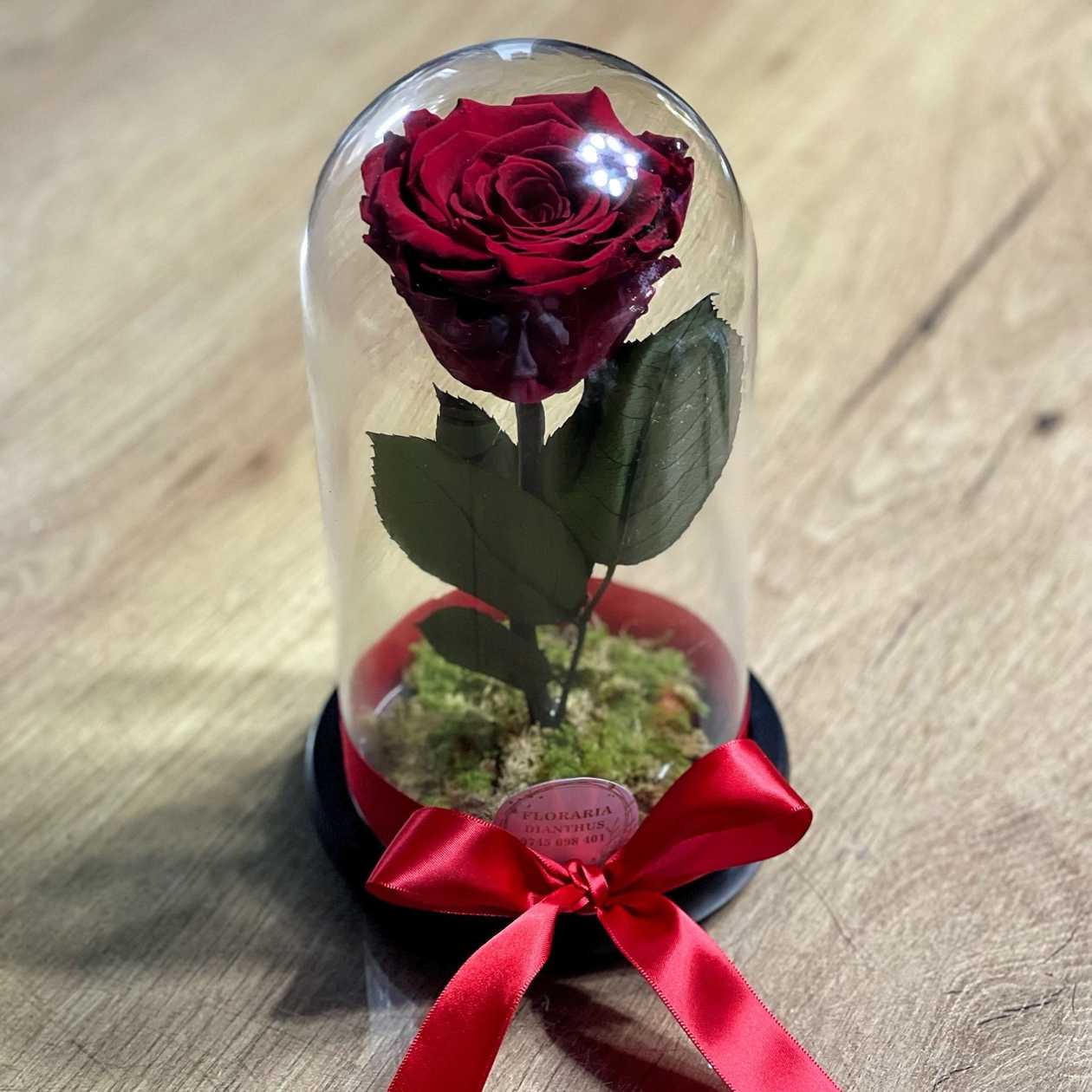 Red Preserved Rose