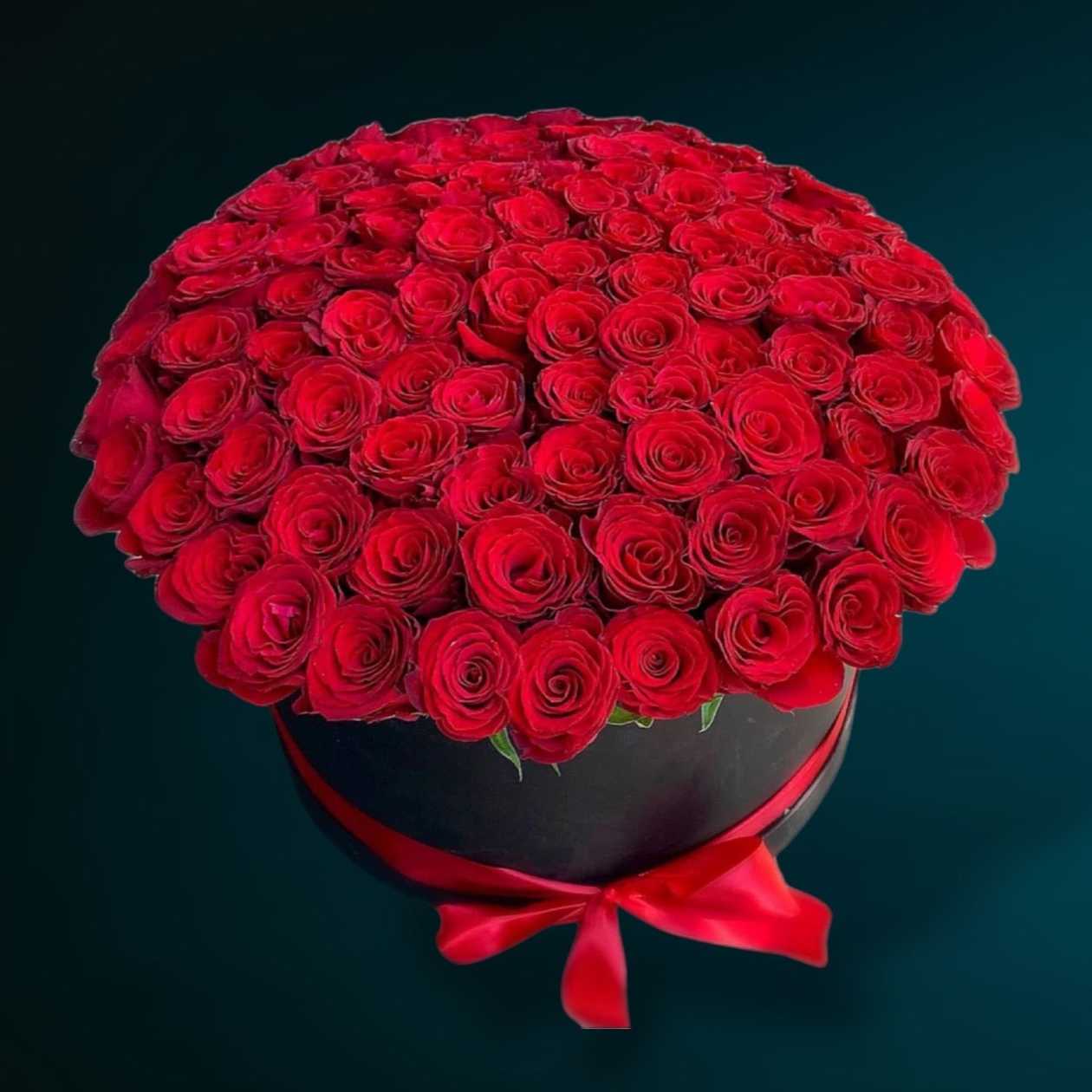 101 Red Roses in Box