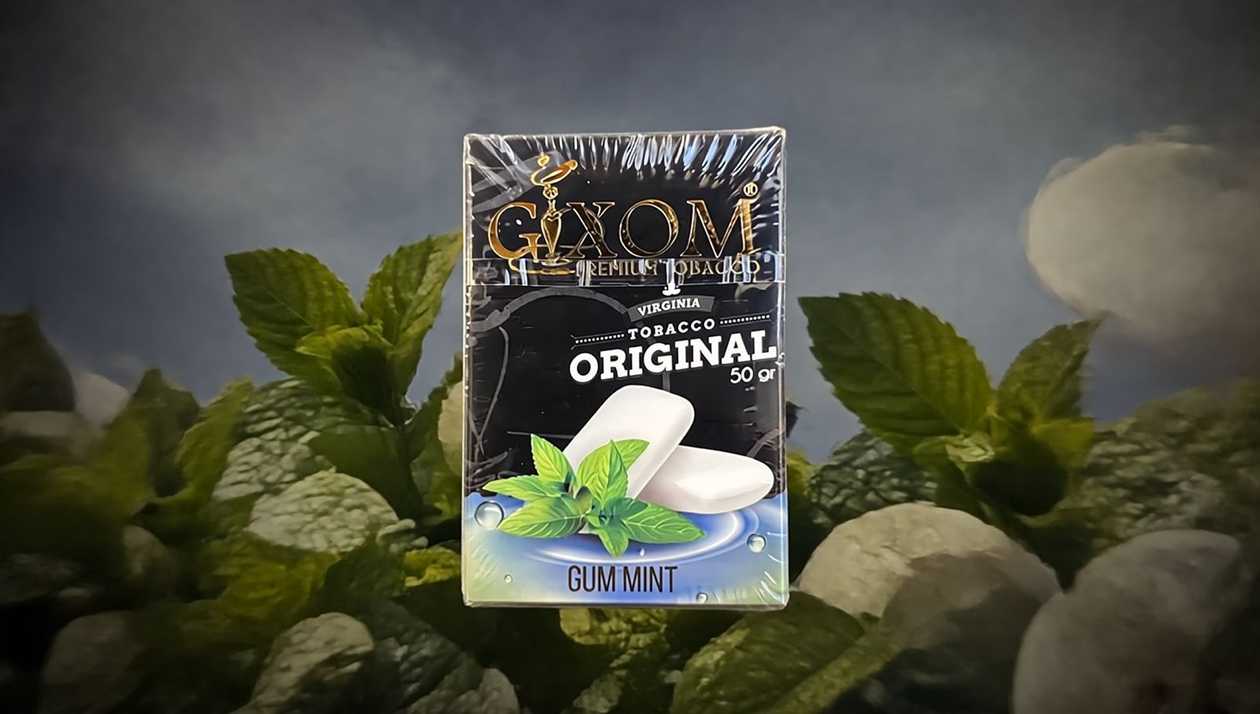 GIXOM 50qr GUM MİNT