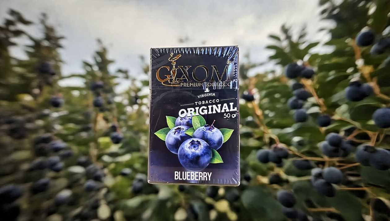 GIXOM 50qr  BLUEBERRY