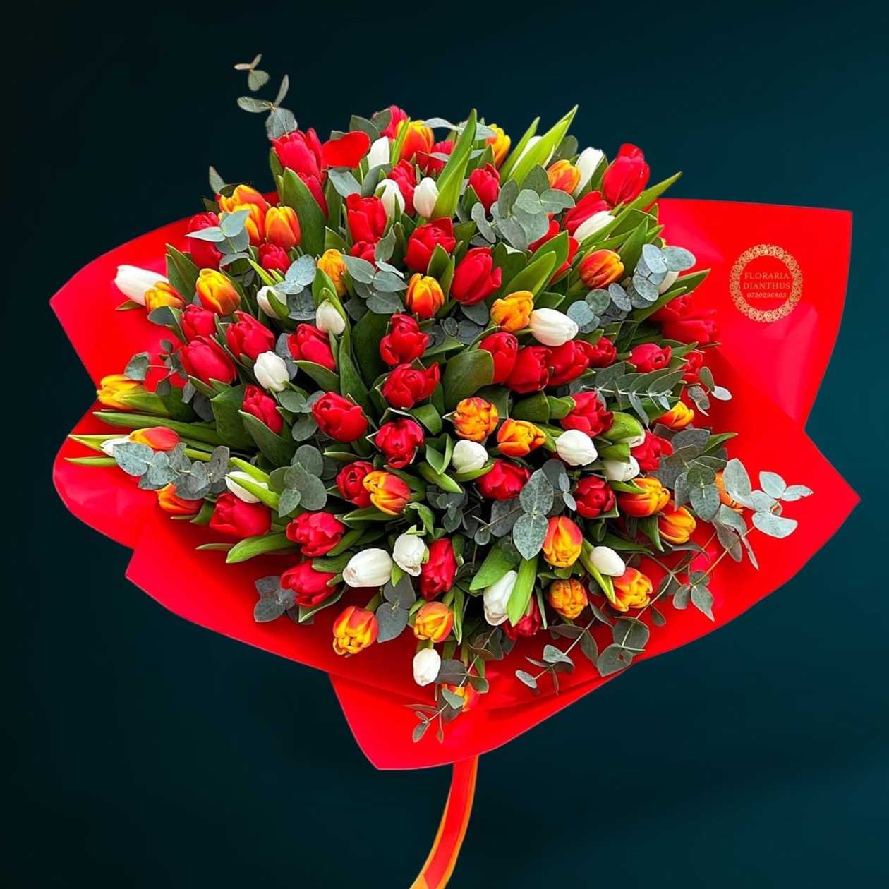 101 White, Red, Bicolor Tulips Bouquet