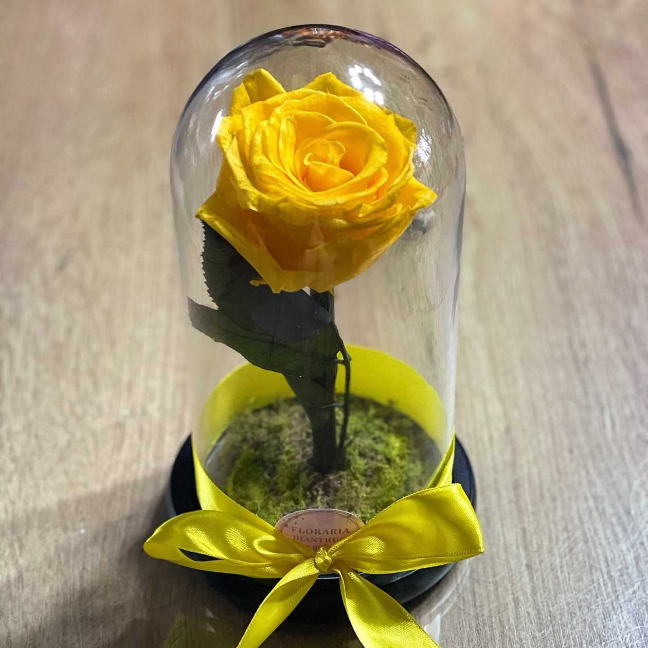 Yellow Preserved Rose