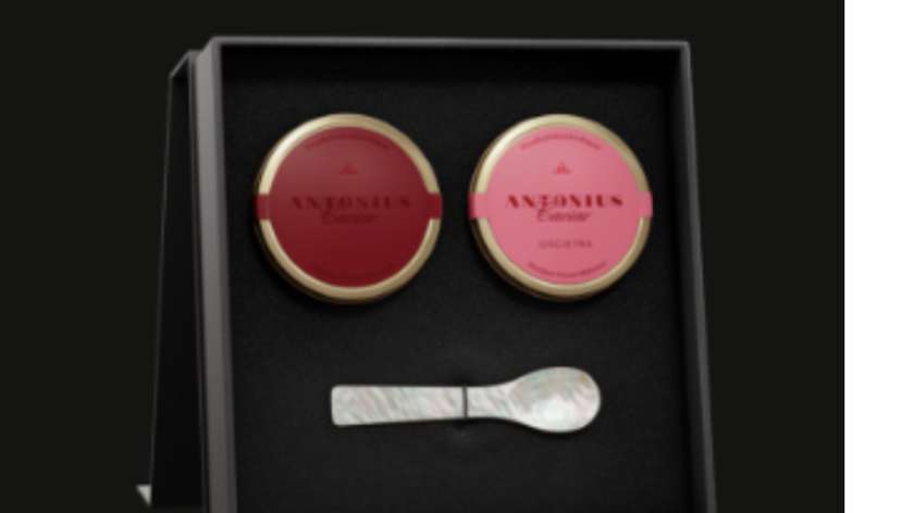 Valentine's Gift / 2 Caviars + Spoon