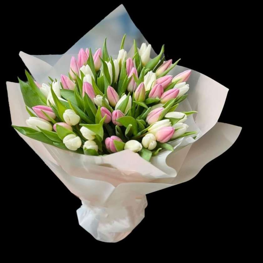 35 Pastel Tulips