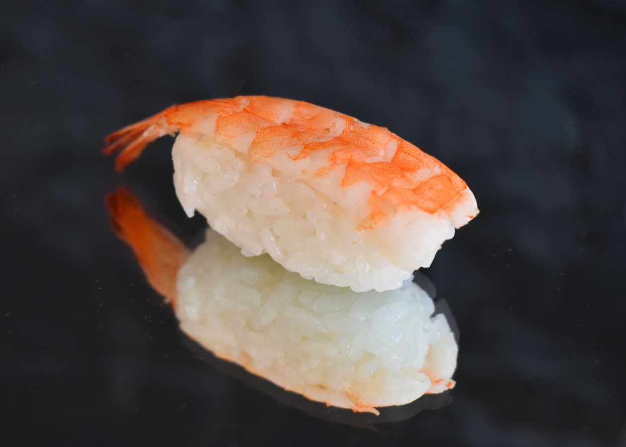 Shrimp Nigiri