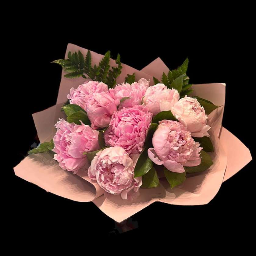 9 Pink Peonies