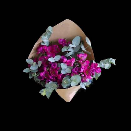 15 Fragrant Cyclamen Freesias