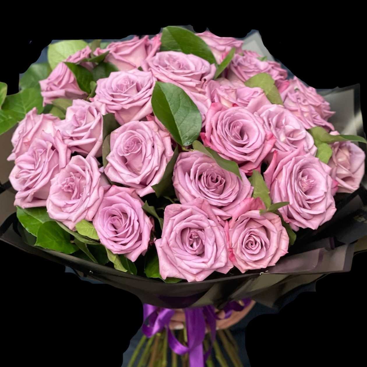 25 Big Purple Roses