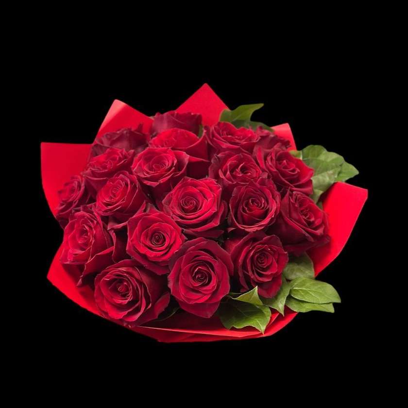 19 Premium Big Roses