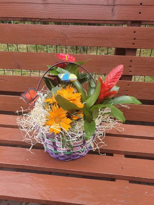 Basket With 3 Flower Pots