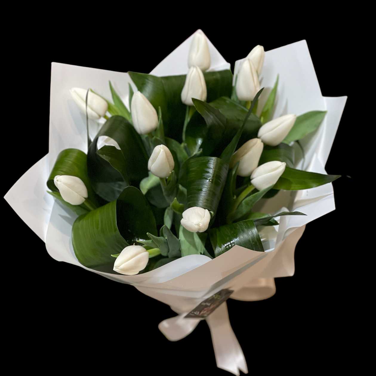 White Tulips