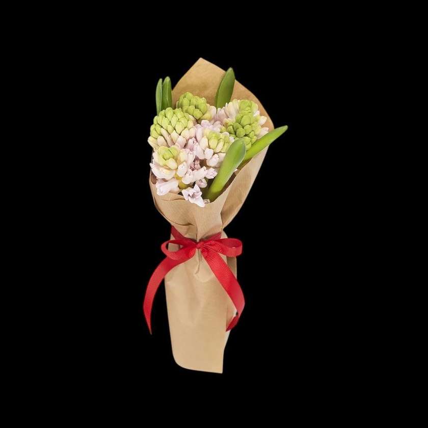 5 Pink Dutch Hyacinths