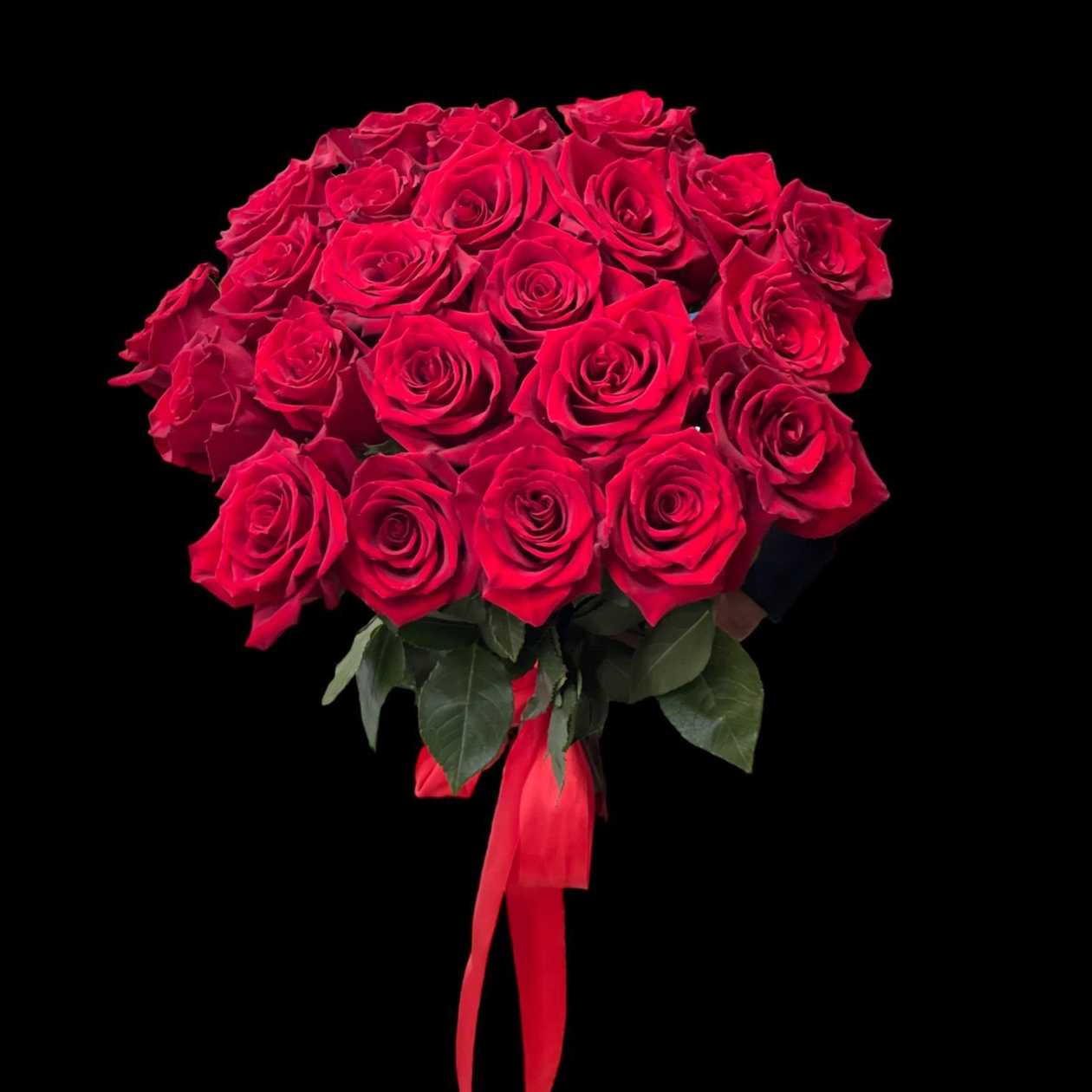 25 Big Red Roses