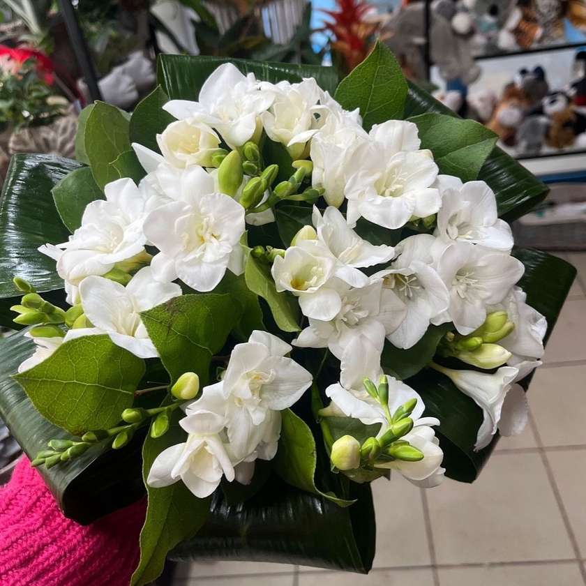 11 Fragrant Freesias