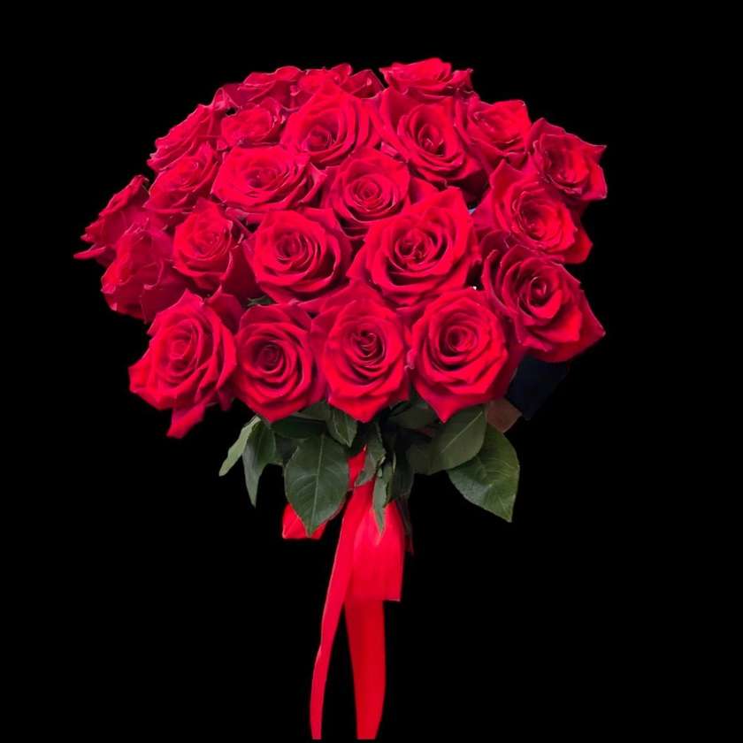 25 Big Red Roses