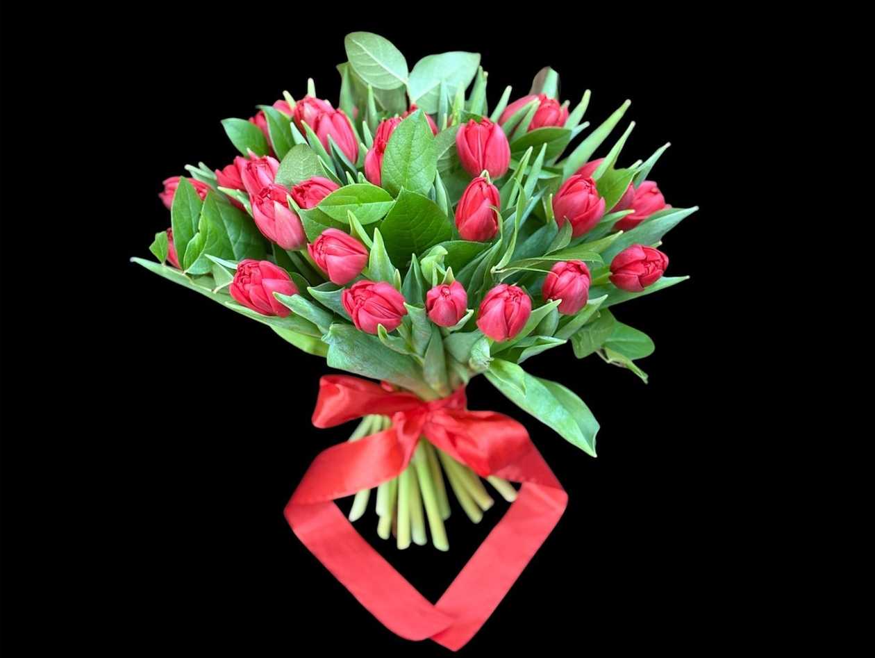 33 Red Tulips