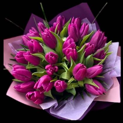 25 Purple Tulips