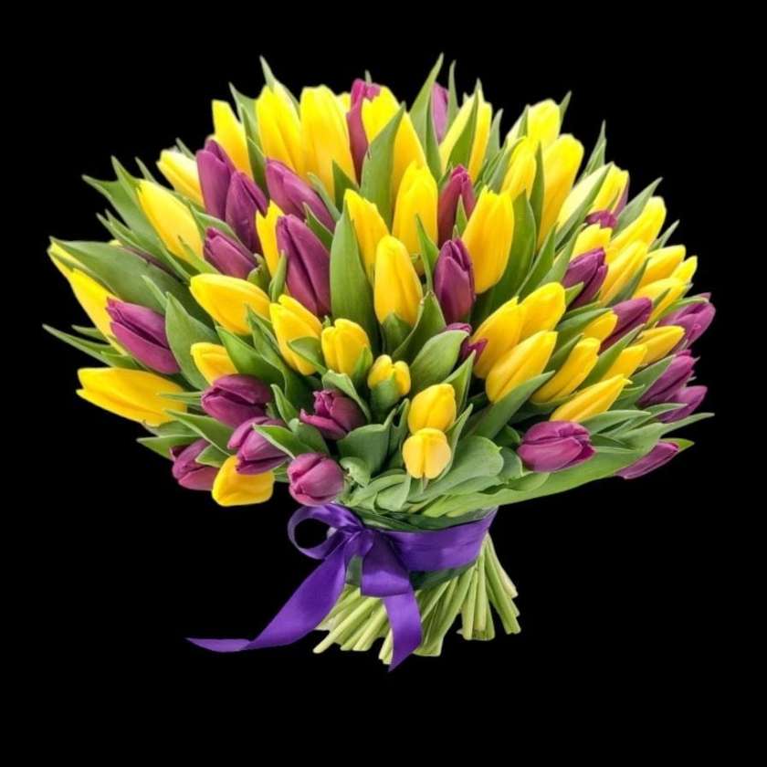 101 Yellow & Purple Tulips