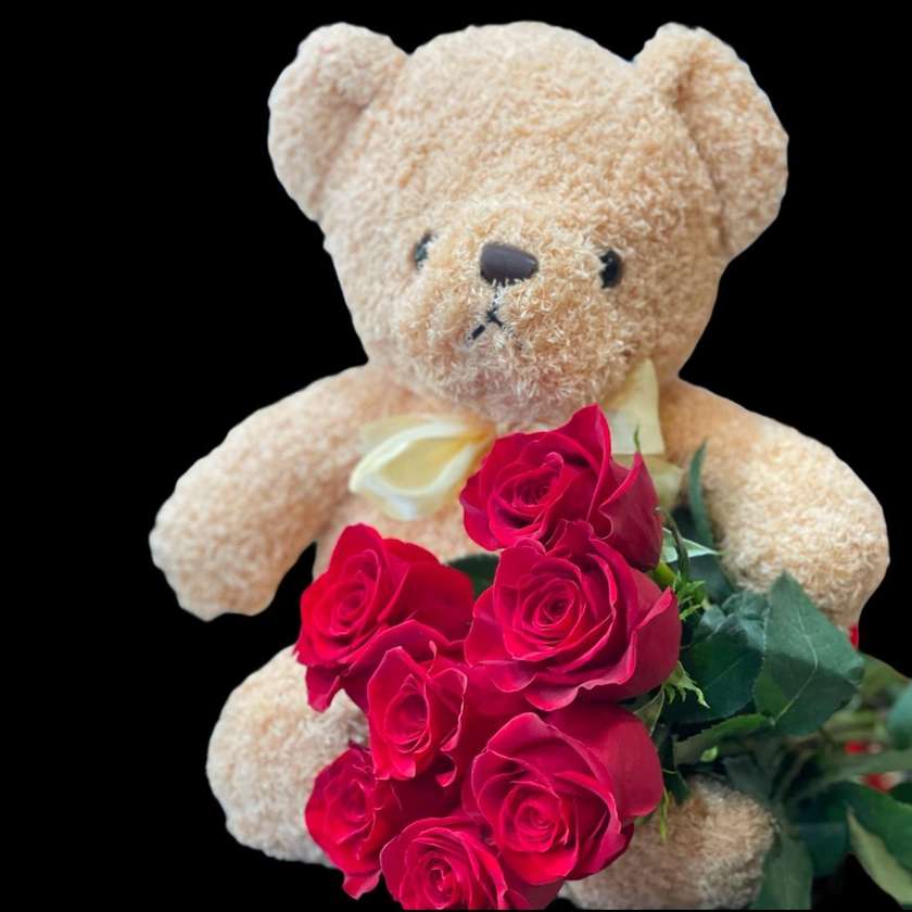 Teddy Love 4