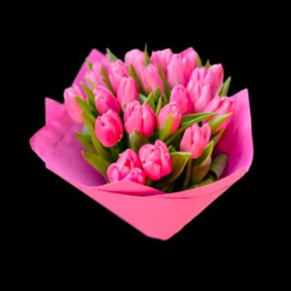 25 Pink Tulips