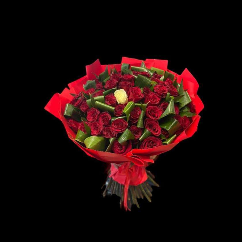 51 Premium Roses